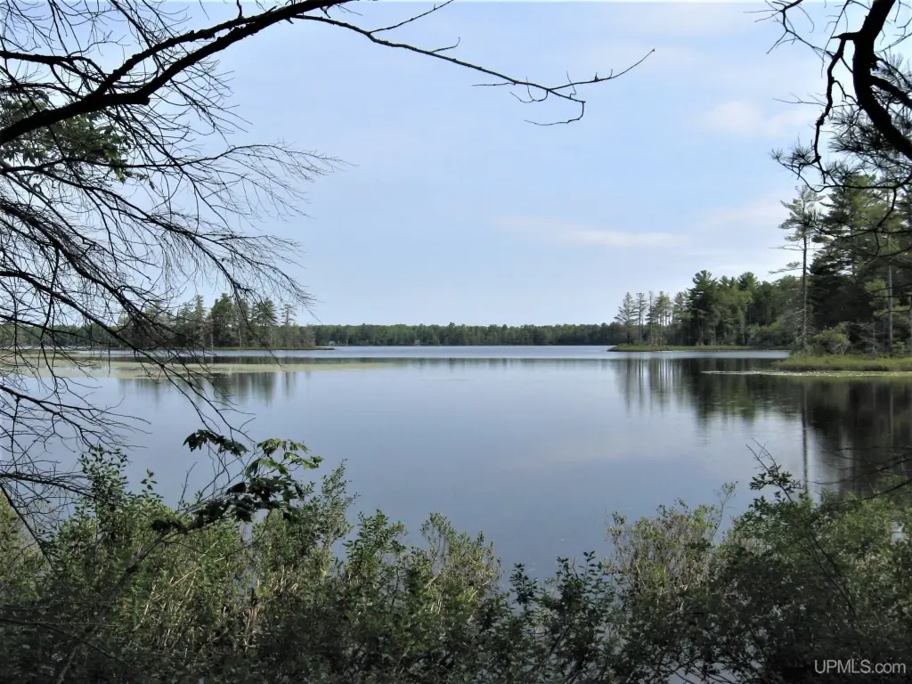 Picture 4