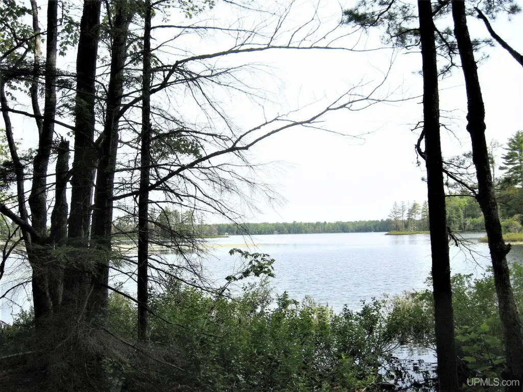Picture 11