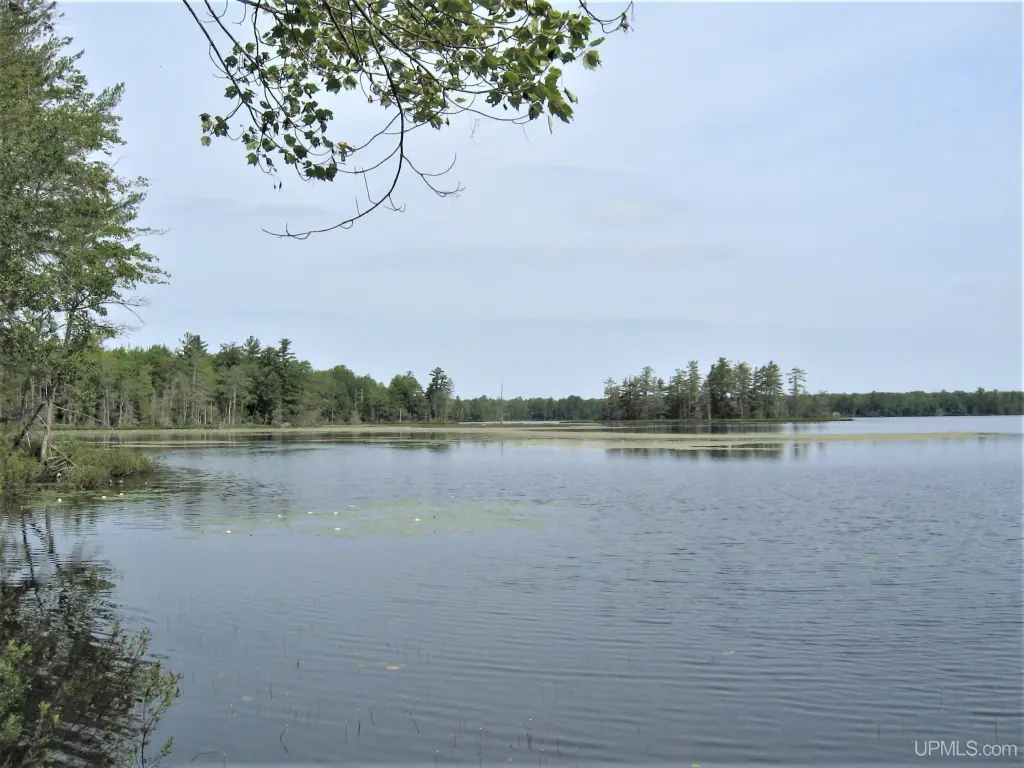 Picture 23