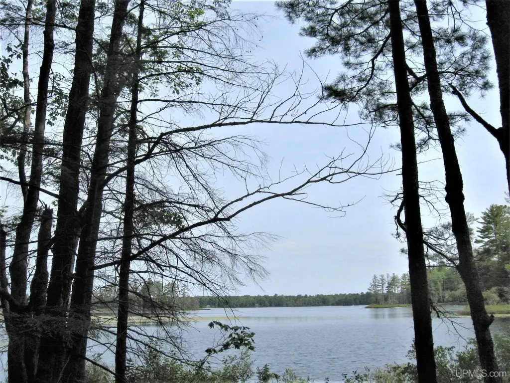 Picture 22