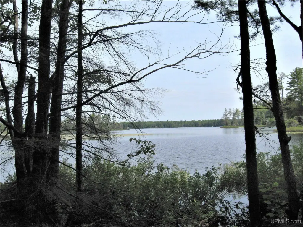 Picture 21