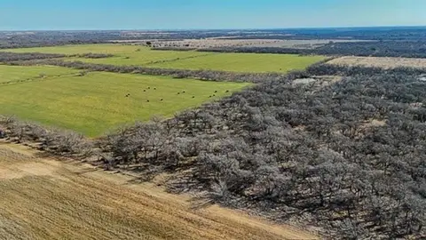 16 Acres of Texas Land