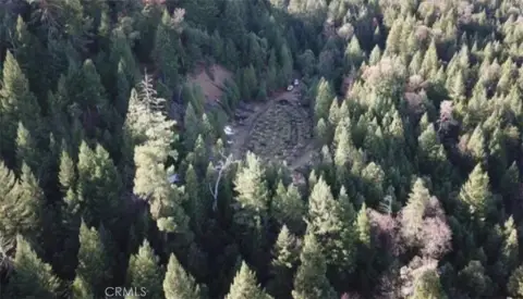 320 Acres Timber-Rich Land