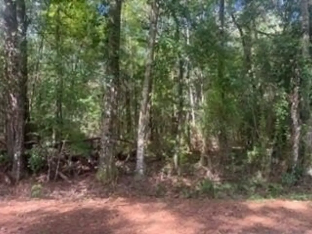 Picture 2