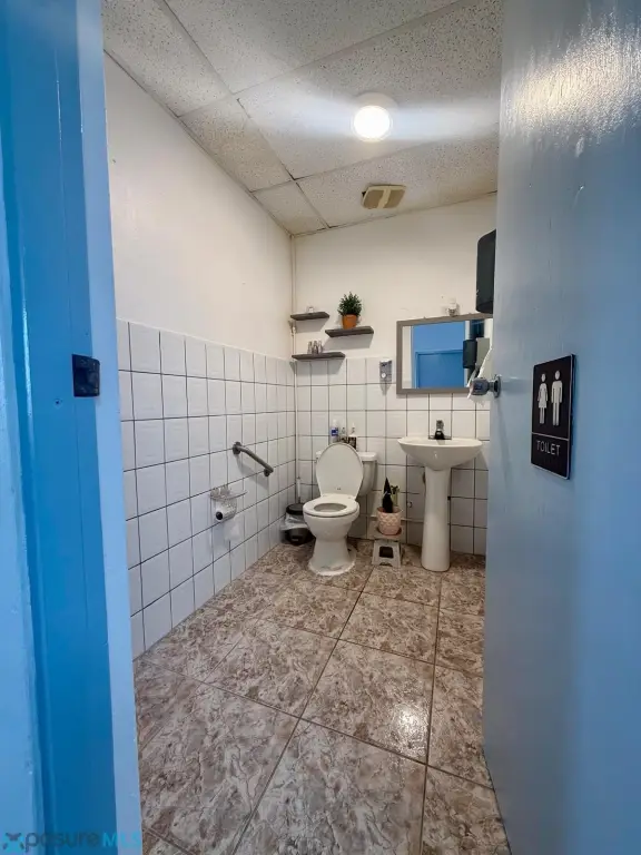 Picture 16