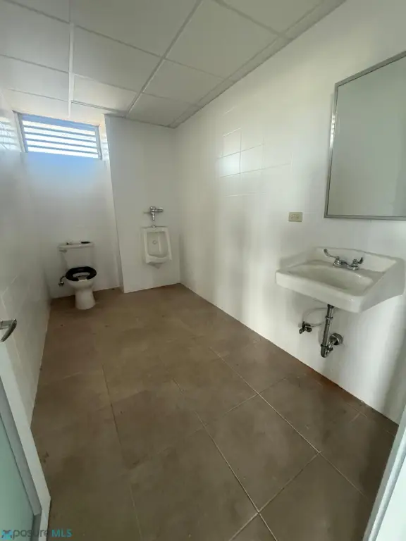 Picture 33