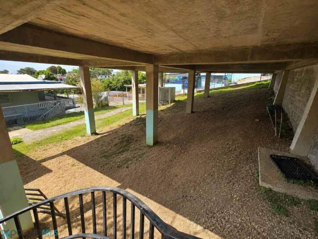 Picture 14