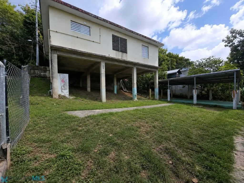 Picture 11