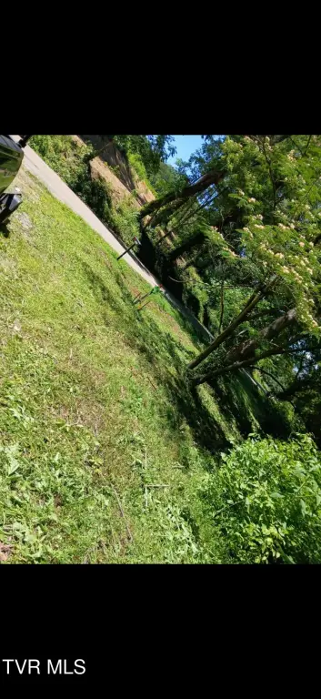 Picture 2
