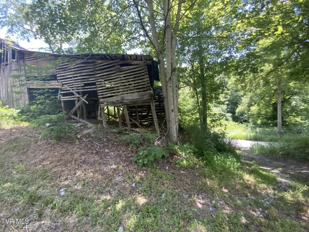 Picture 16