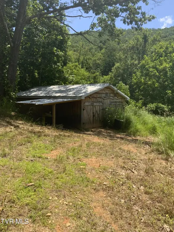 Picture 4