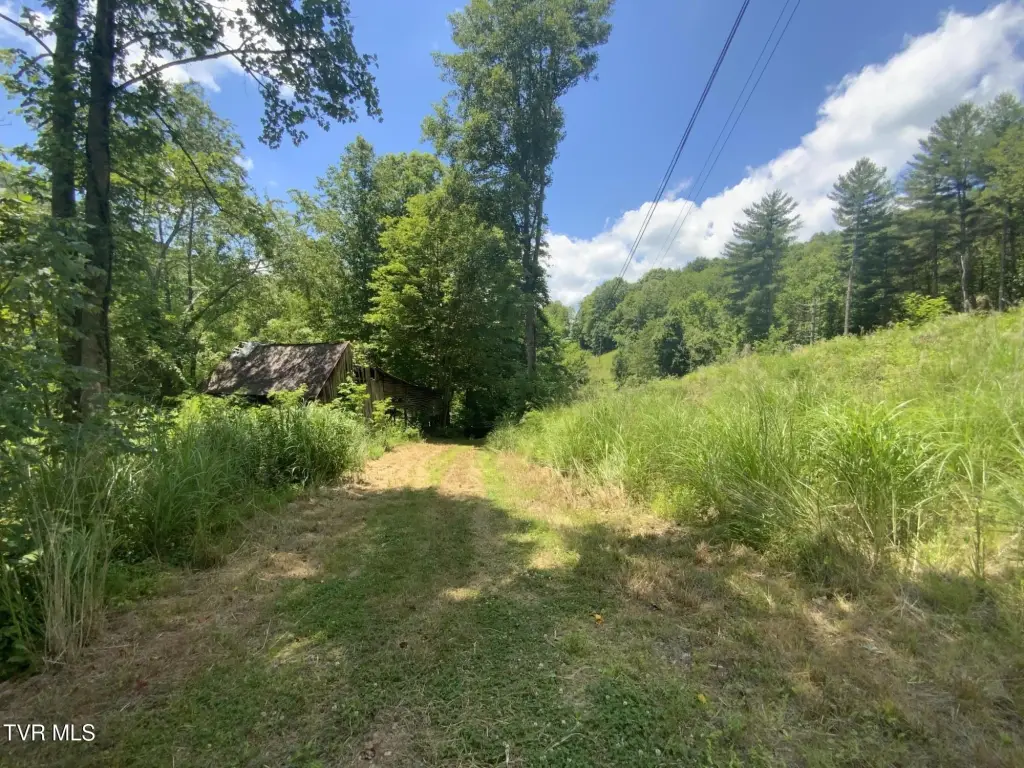 Picture 19