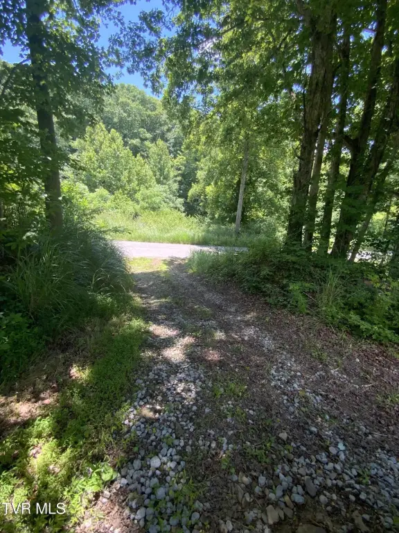 Picture 20