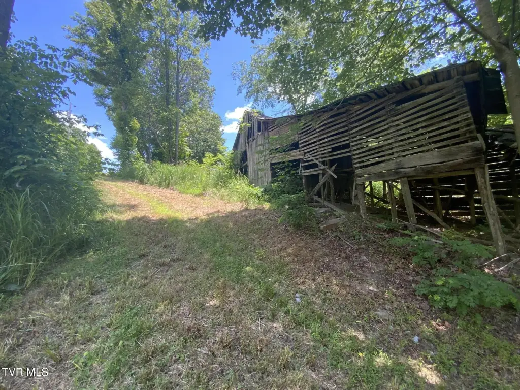 Picture 15