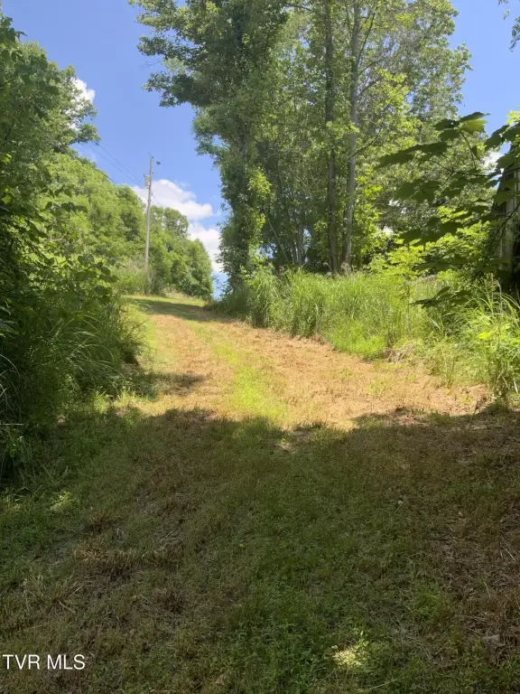 Picture 21