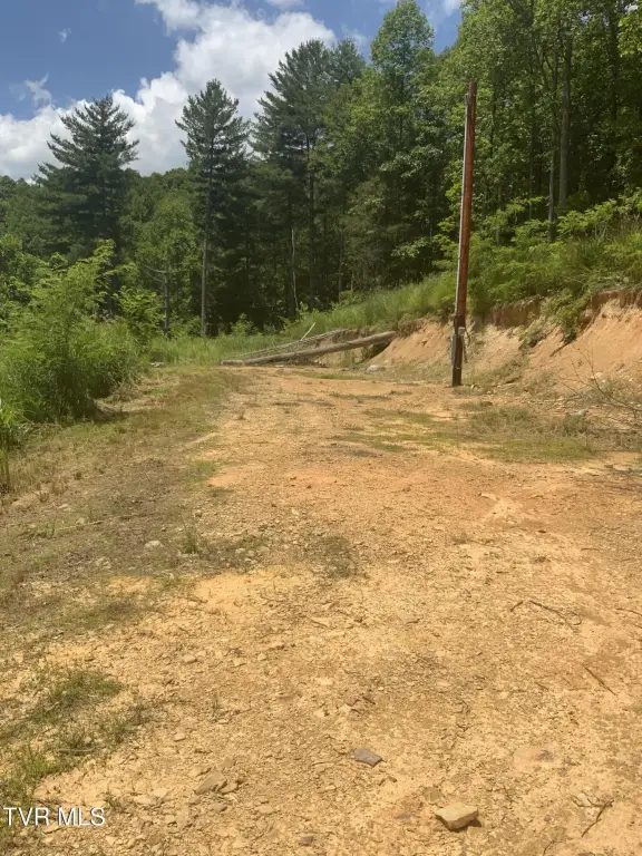 Picture 3
