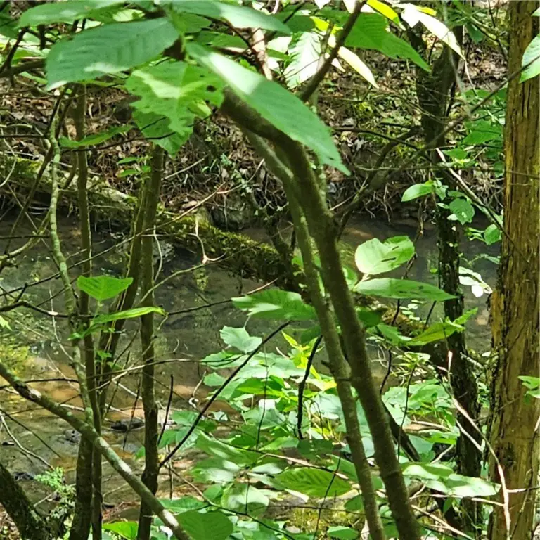Picture 5