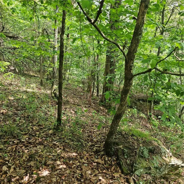 Picture 3