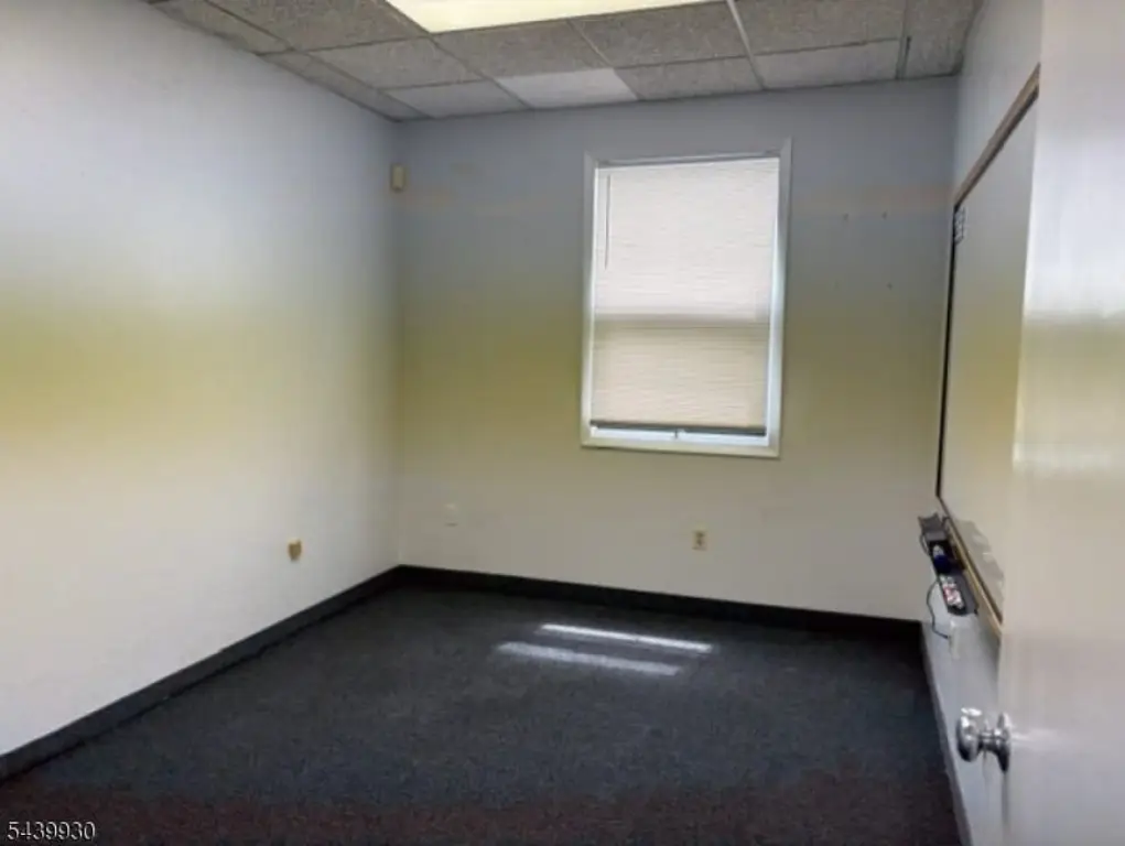 Picture 11