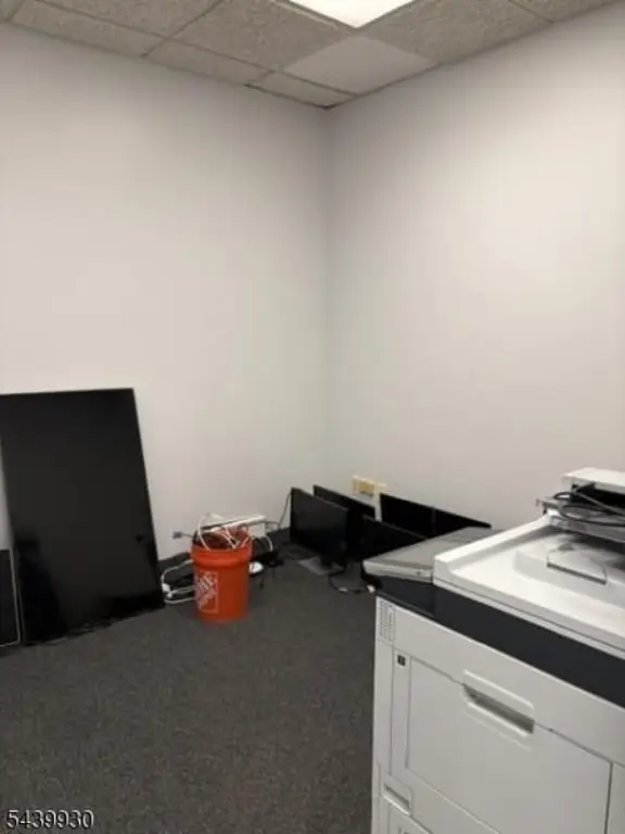Picture 5