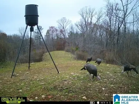 234 Acres Sylacauga Development Opportunity