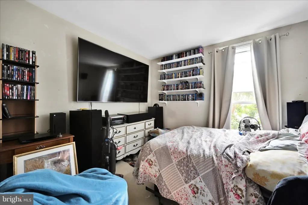 Picture 8