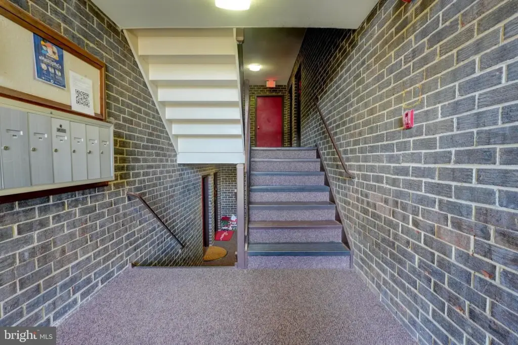 Picture 35
