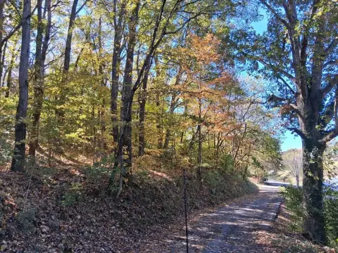 Residential Lot in Newport, TN