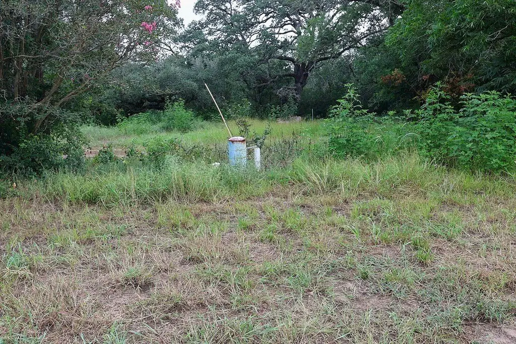 Picture 17