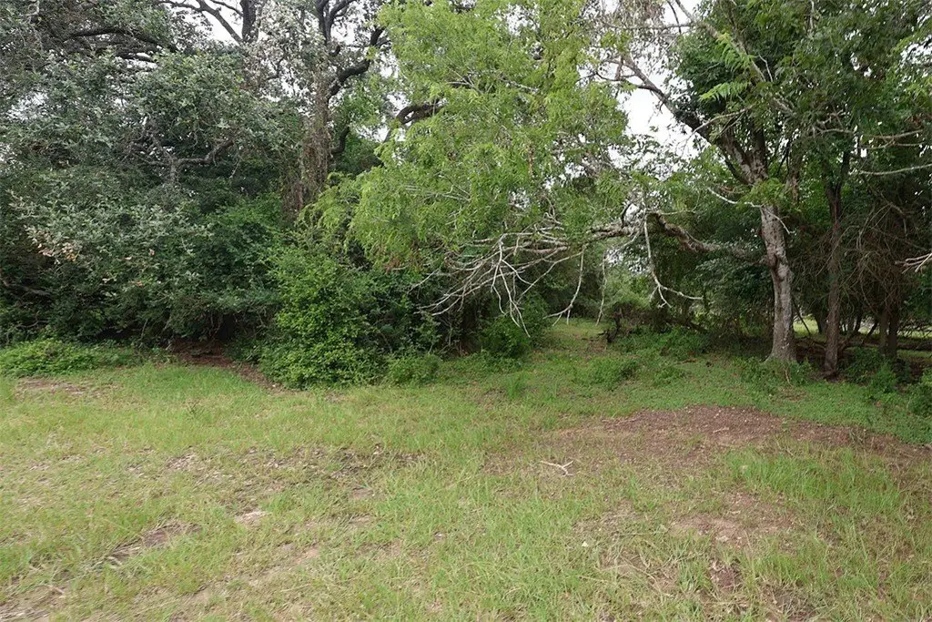 Picture 6