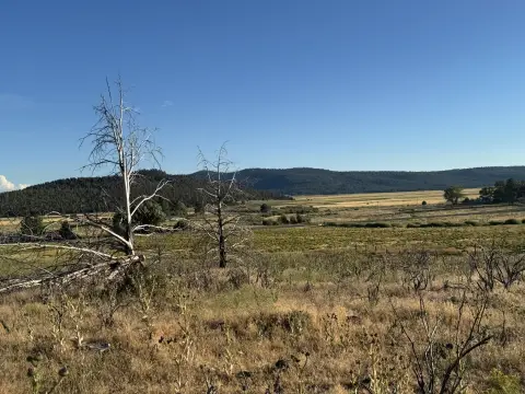 Residential Lot in Sprague River