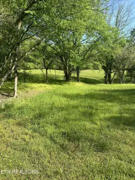 Secluded Creekfront Farm Acreage