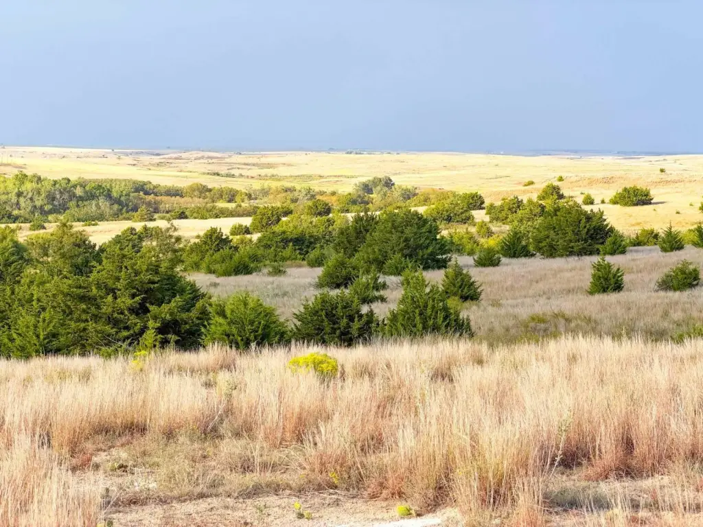 Picture 31