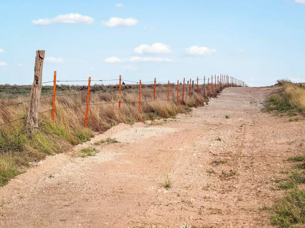 Picture 32