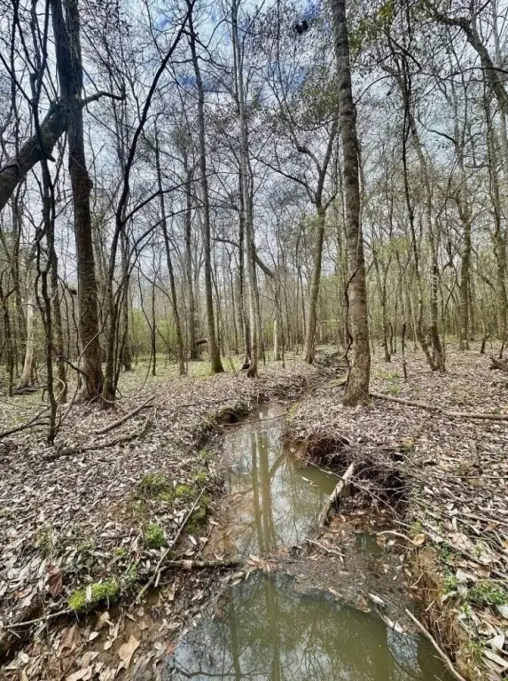 Picture 31
