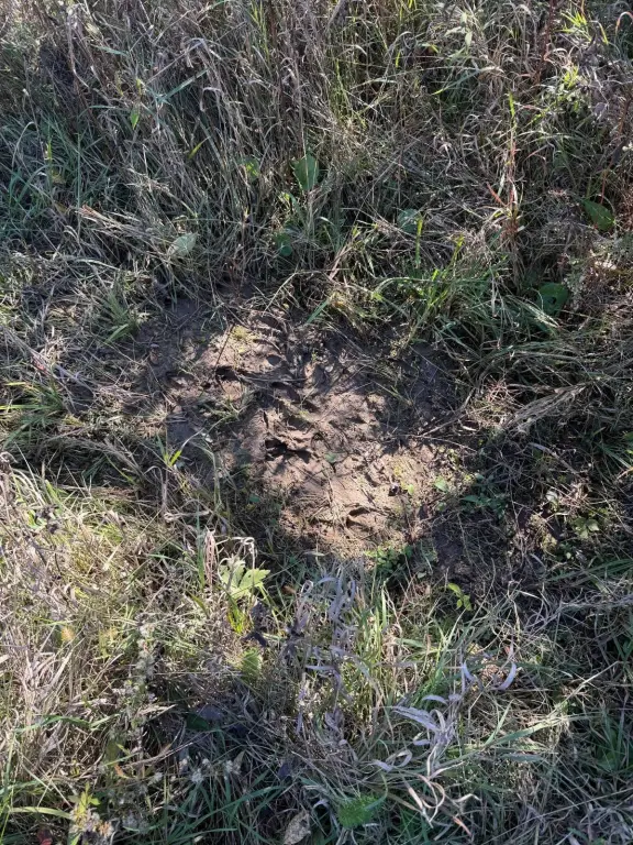 Picture 25