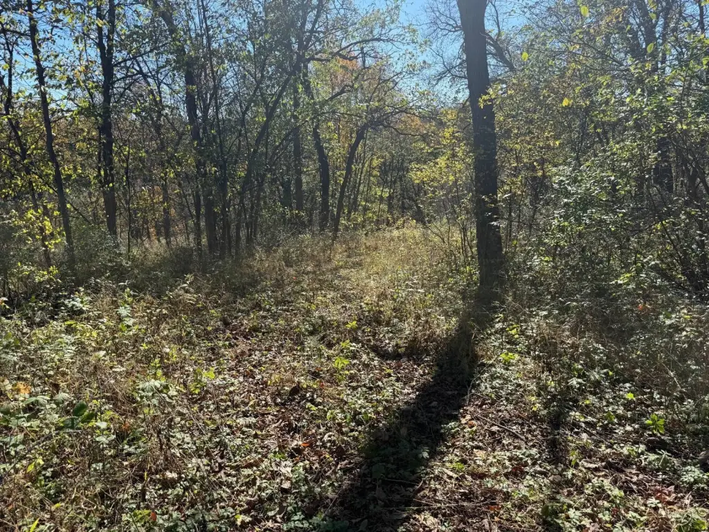 Picture 23