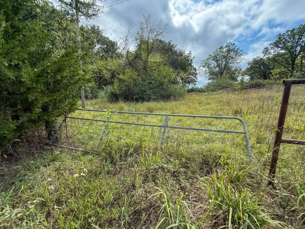 Picture 17