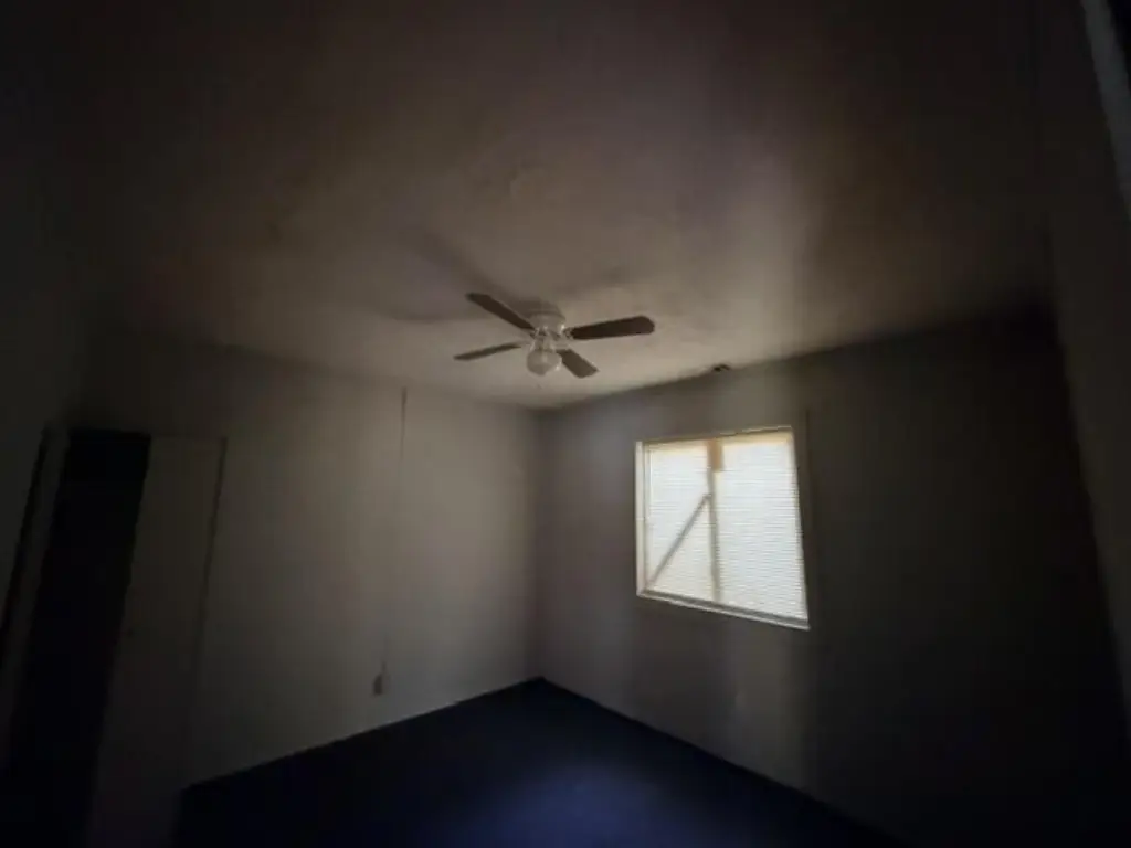 Picture 24