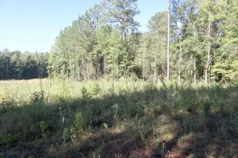 Commercial Land with Road Frontage