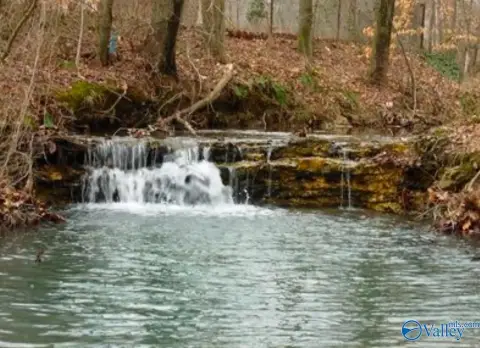 Unrestricted Land in Harvest, AL