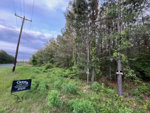 Unrestricted Wooded Land Near Many