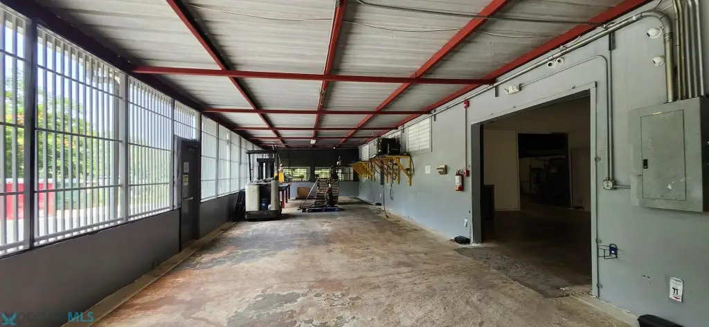 Picture 21