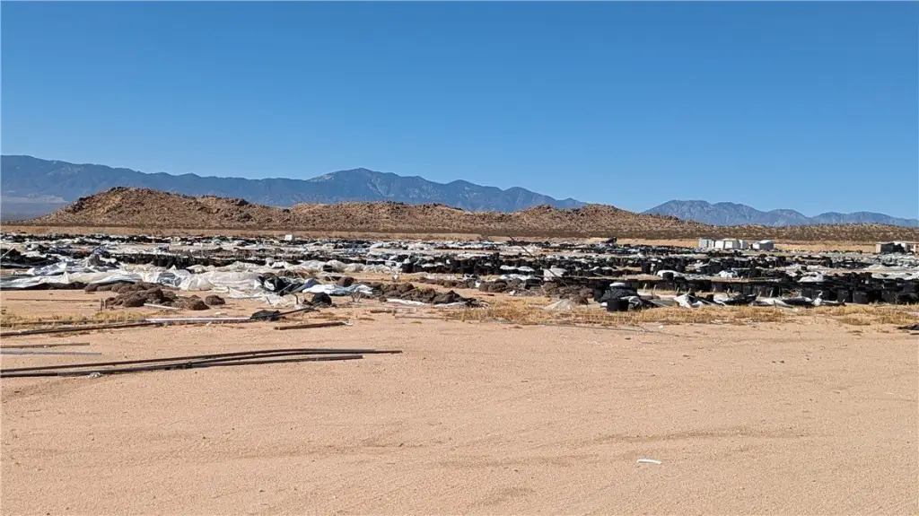 Picture 11