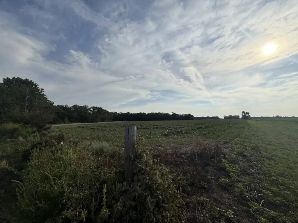 Picture 25