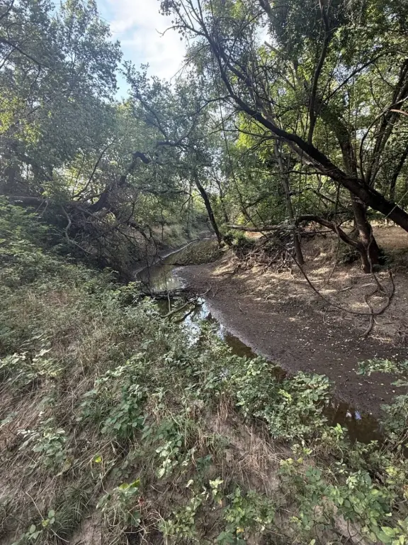 Picture 29