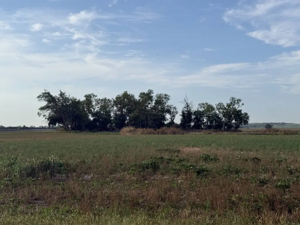 Picture 31