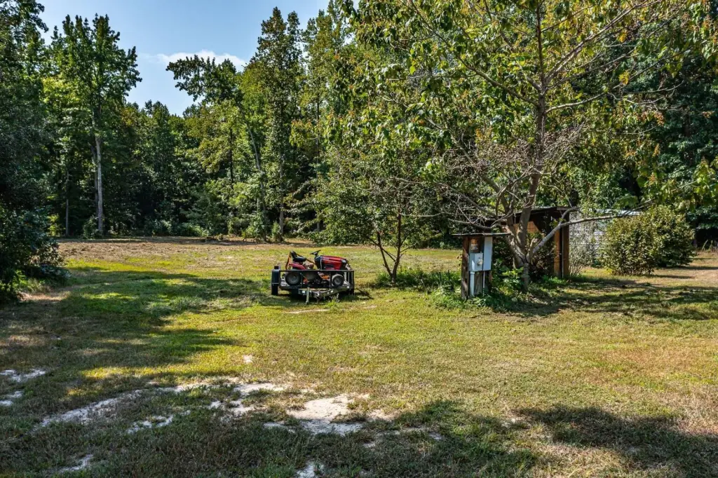 Picture 21