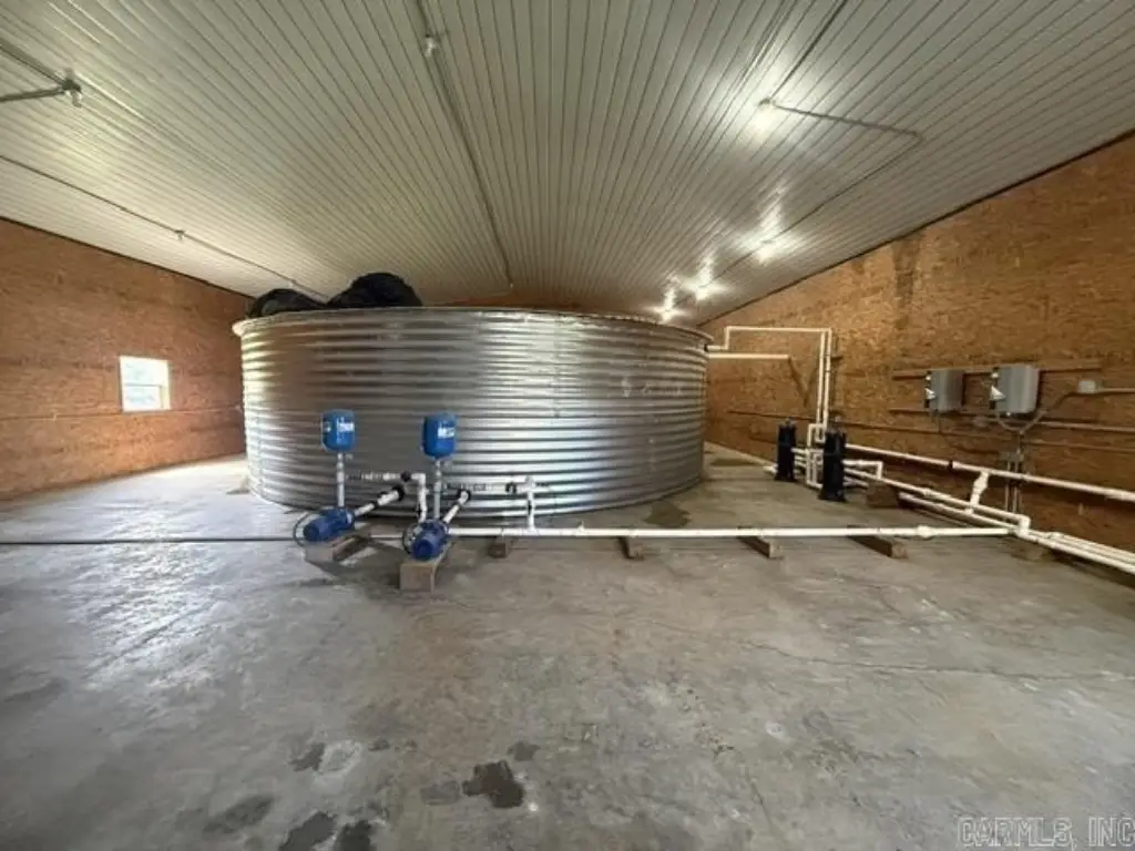 Picture 12