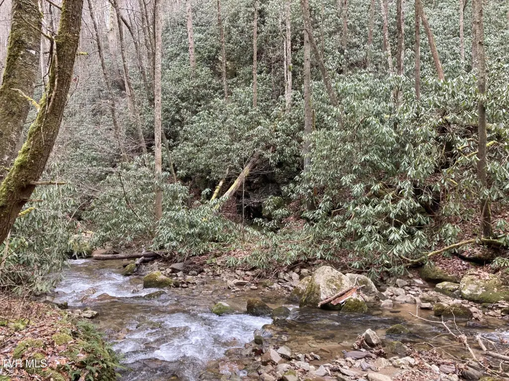 Picture 30